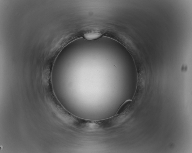 X0000112040509200908031520