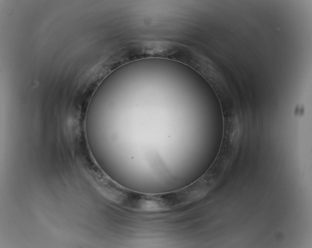 X0000112040510200908031520