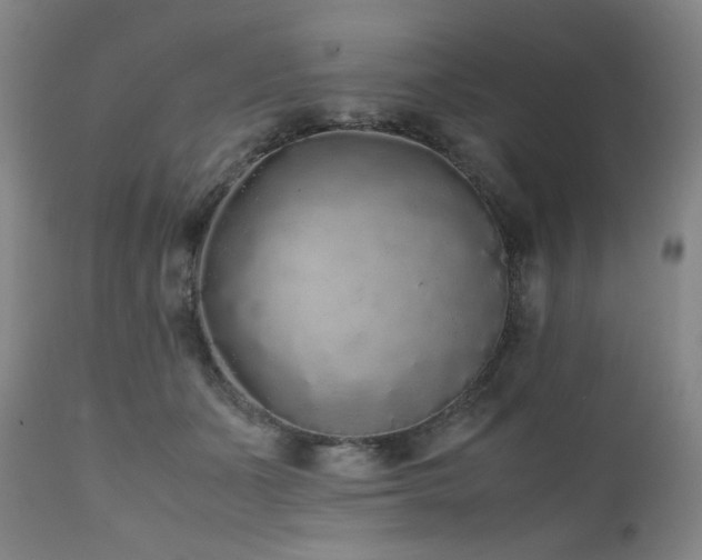 X0000112040511200908031520