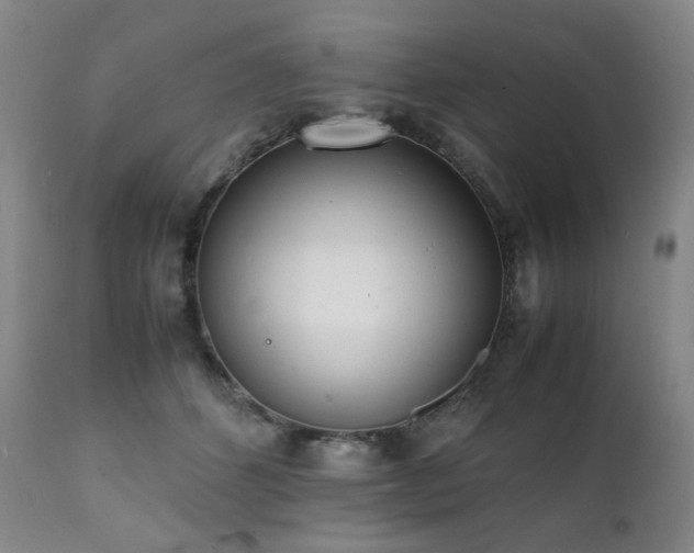 X0000112040512200908031519