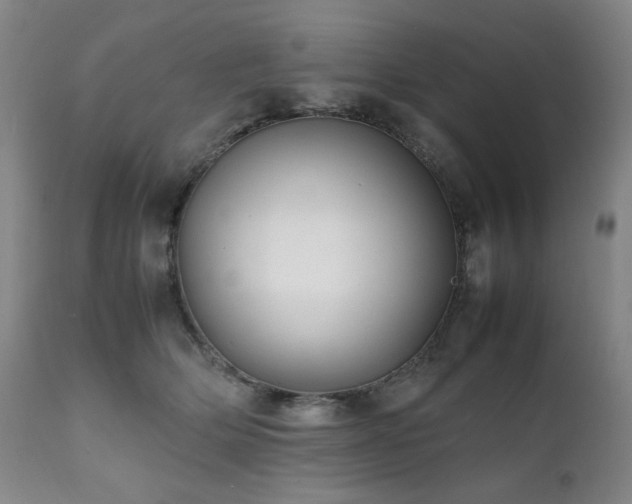 X0000112040514200908031519
