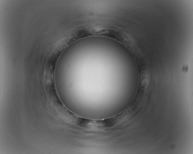 X0000112040515200908031519