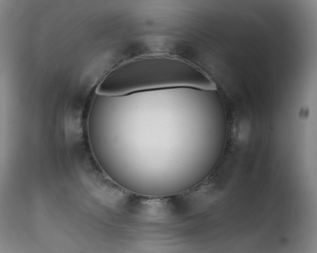 X0000112040516200908031519