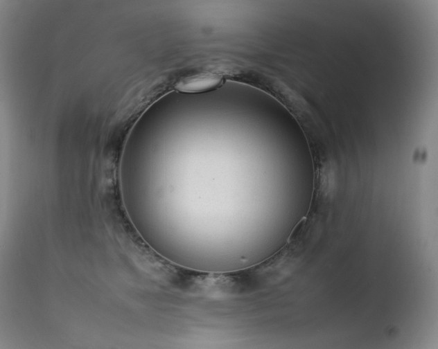 X0000112040517200908031519