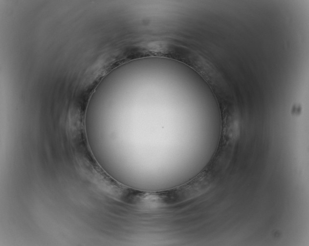 X0000112040518200908031519