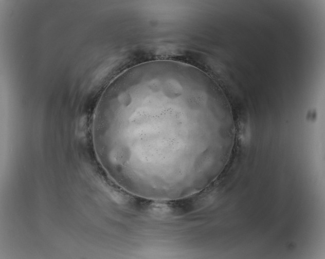 X0000112040519200908031519