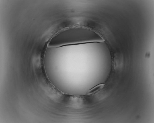 X0000112040520200908031519
