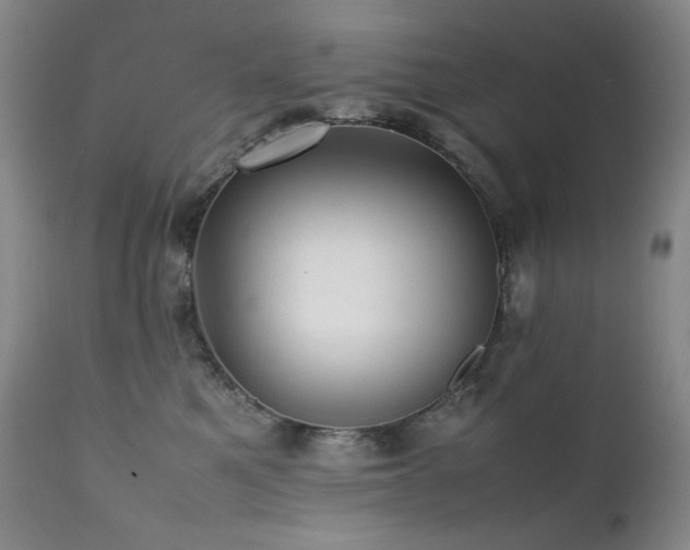 X0000112040521200908031519