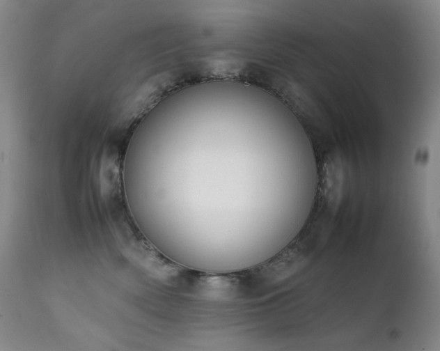 X0000112040522200908031519
