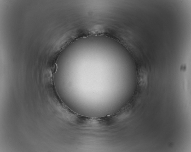 X0000112040523200908031519