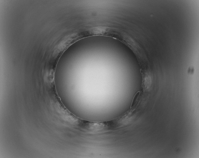 X0000112040525200908031519