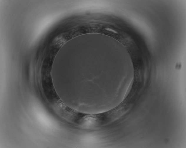 X0000112040526200908031519