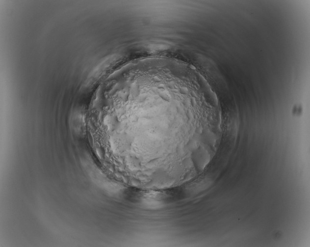 X0000112040527200908031519