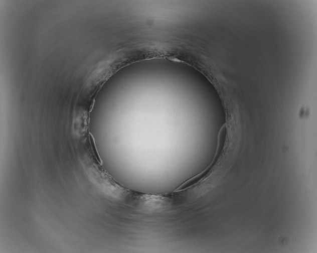 X0000112040528200908031519
