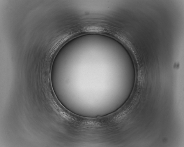 X0000112040529200908031519