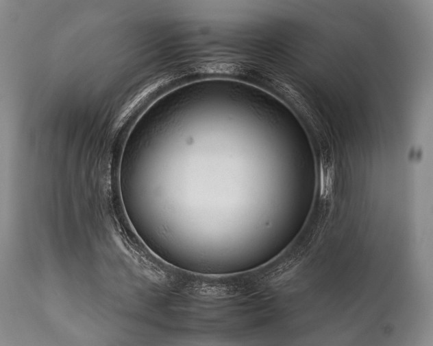 X0000112040531200908031519