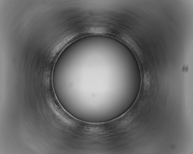 X0000112040533200908031519