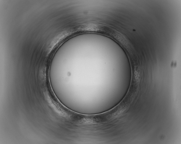 X0000112040534200908031519