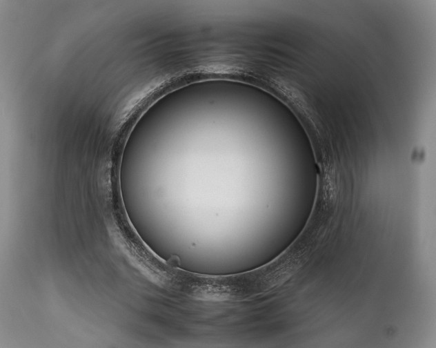 X0000112040535200908031519