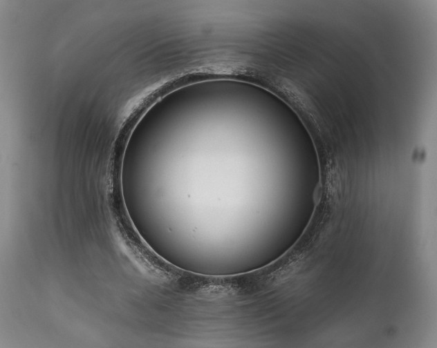 X0000112040536200908031519
