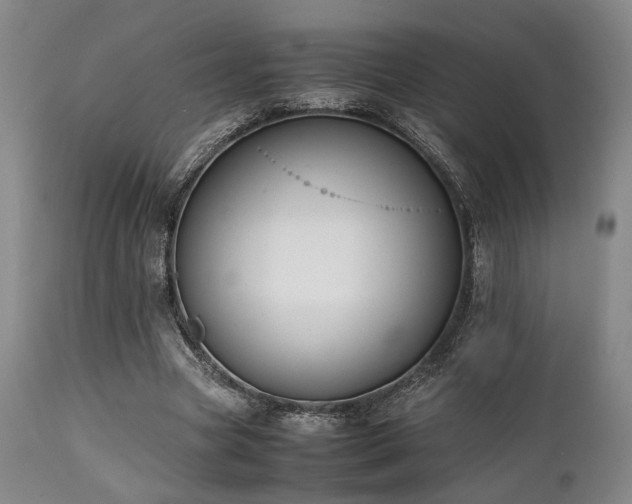 X0000112040537200908031519