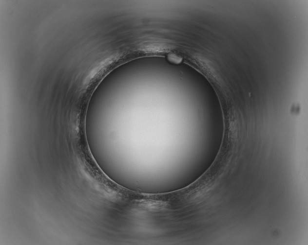 X0000112040539200908031519