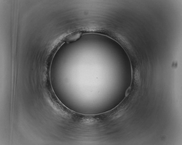 X0000112040540200908031519