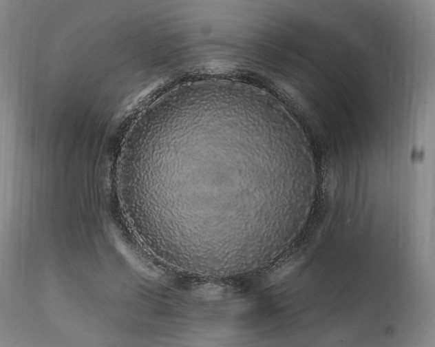 X0000112040542200908031519