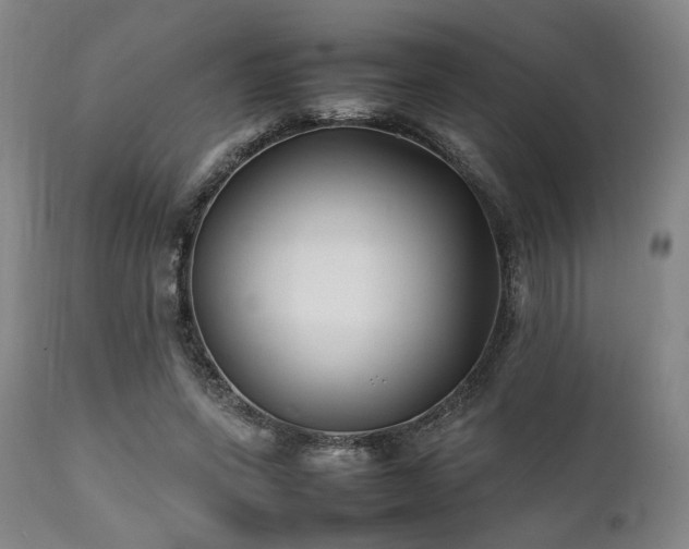 X0000112040543200908031519