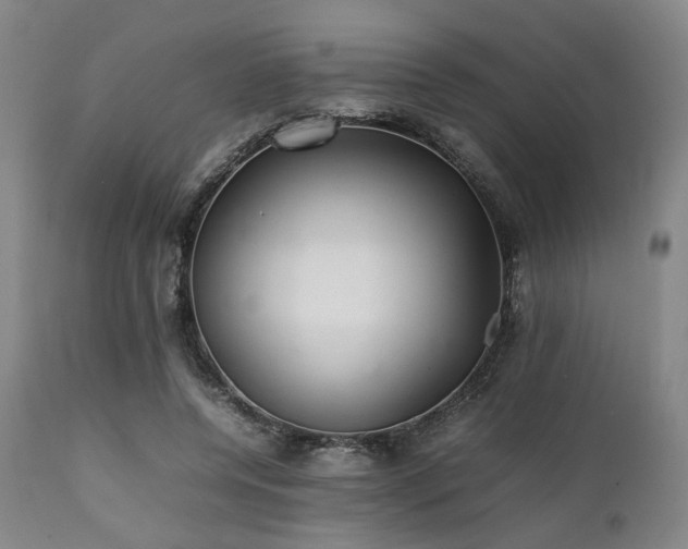X0000112040544200908031519