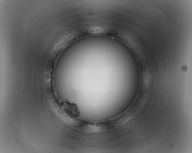 X0000112040545200908031519