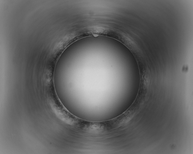 X0000112040546200908031519