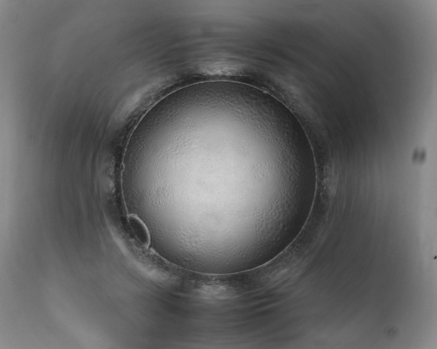 X0000112040547200908031519