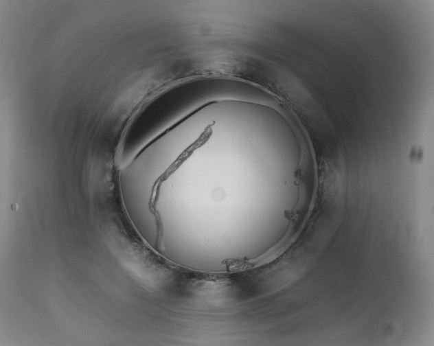 X0000112040548200908031519