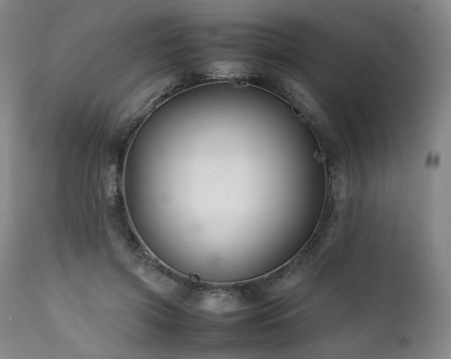 X0000112040549200908031519