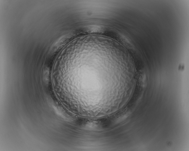 X0000112040550200908031519