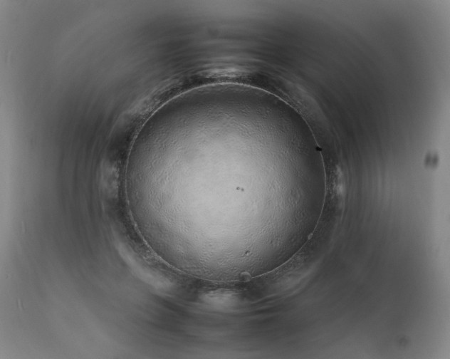 X0000112040551200908031519