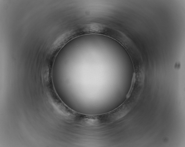 X0000112040552200908031519