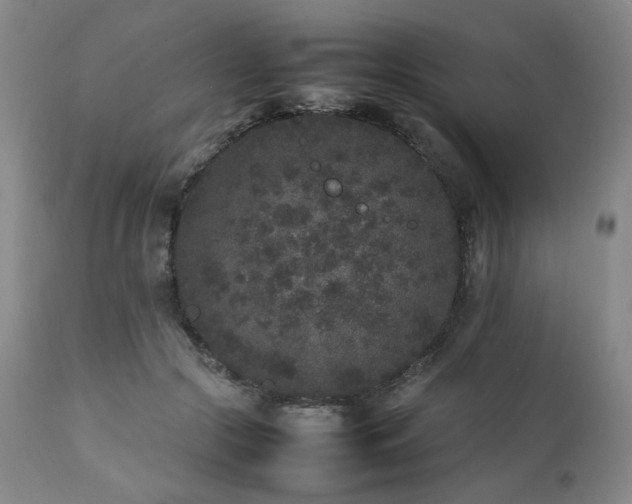 X0000112040553200908031519