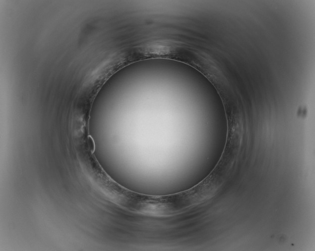 X0000112040555200908031519