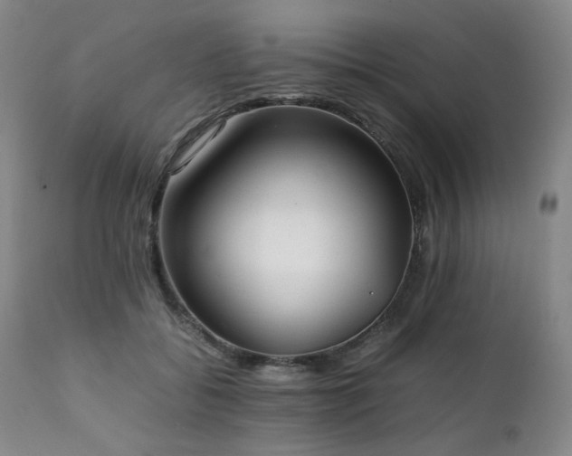 X0000112040556200908031519