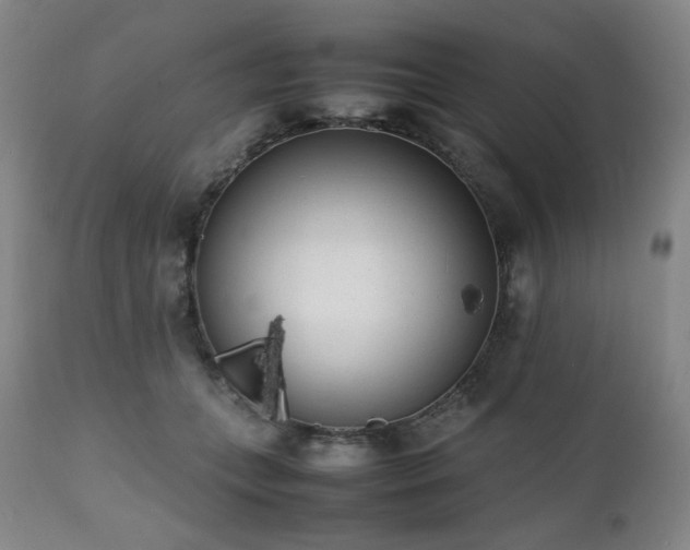 X0000112040559200908031519