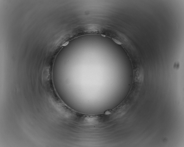 X0000112040560200908031519