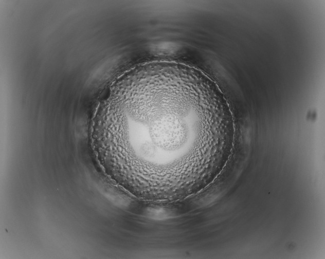 X0000112040561200908031519