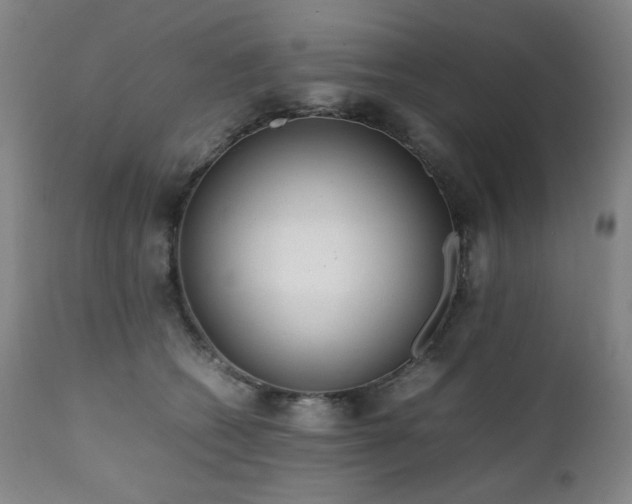 X0000112040562200908031519