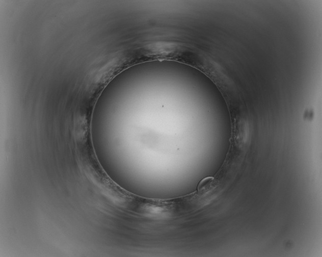 X0000112040563200908031519