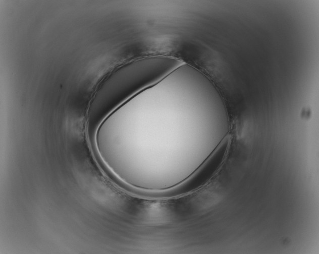 X0000112040564200908031519