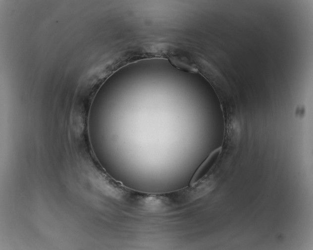 X0000112040566200908031519