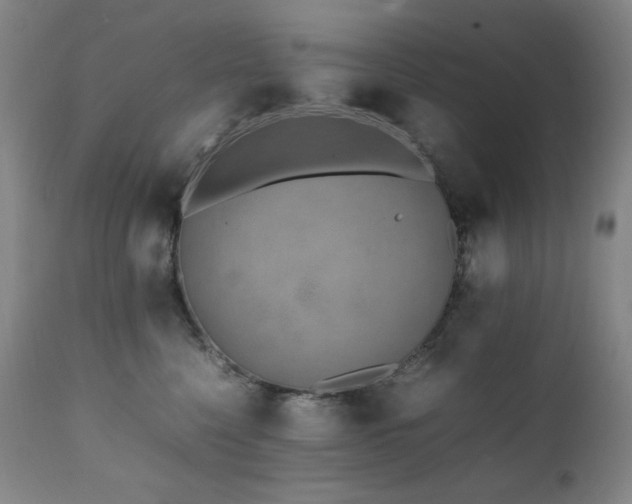 X0000112040568200908031519
