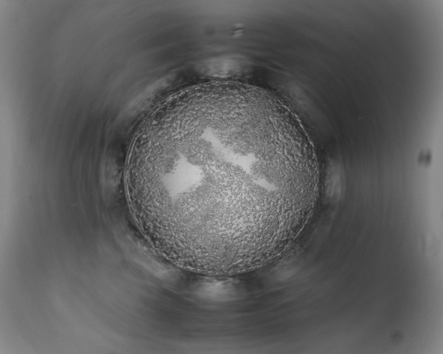 X0000112040569200908031519